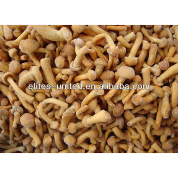 IQF Frozen Nameko in China